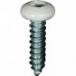 #10 X 3/4'' Square Drive Pan RV Tapping Screws Zinc - White Painted Head