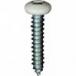 #10 X 1'' Square Drive Pan RV Tapping Screws Zinc - White Painted Head