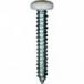 #10 X 1-1/4'' Square Drive Pan RV Tapping Screws Zinc - White Painted Head