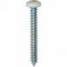 #10 X 1-1/2'' Square Drive Pan RV Tapping Screws Zinc - White Painted Head