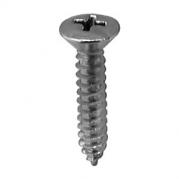 #10 X 1'' Phillips Oval Head Tapping Screw - Chrome