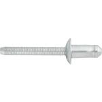 GM Inner Wheelhouse Rivet 1/4'' Diameter 0.132''- 0.211'' Grip Steel/Steel