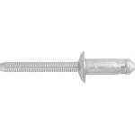 Blind Rivet 1/4'' (6.3mm) Diameter 0.348''-0.425'' (8.8-10.8mm) Grip Steel/Steel