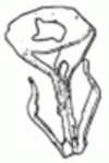 19677.jpg